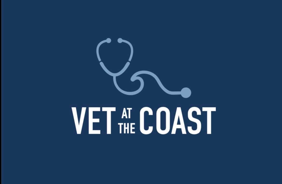 Vet at The Coast Tshirt