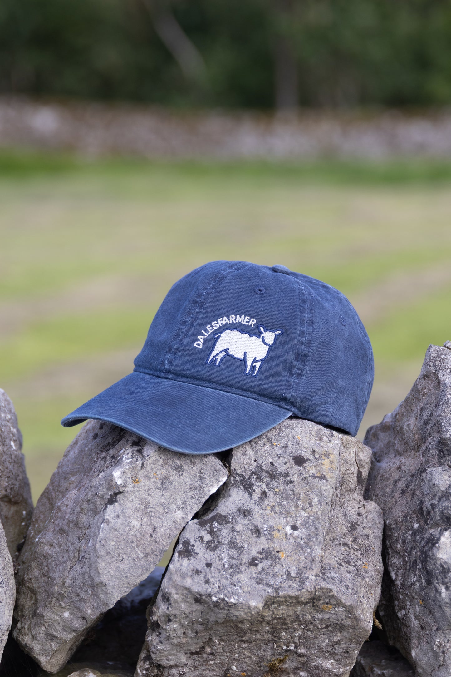 Dales Farmer Cap - Navy