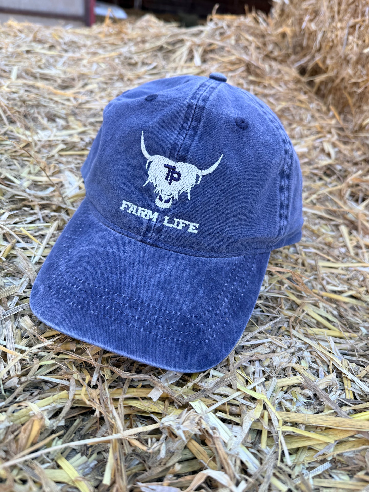 TP Fabric Cap - washed navy