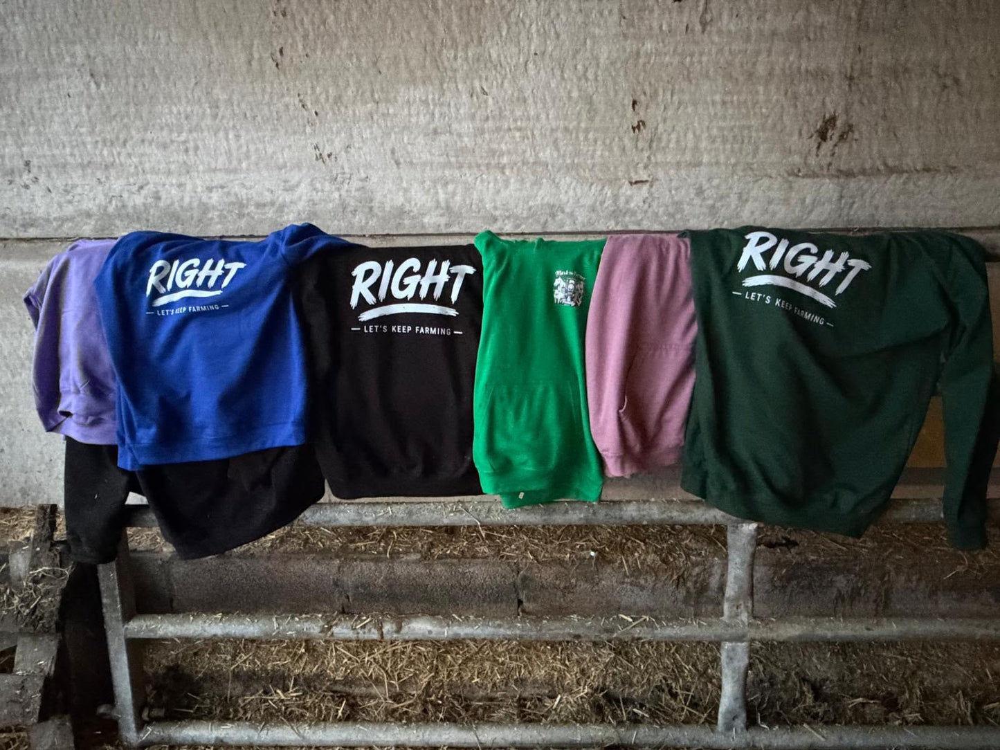 MTF&F - The Right Purple Hood (Adults)